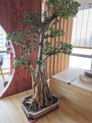 -涂tu指甲日式美甲美睫店
