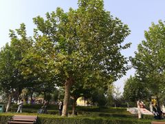 -石家庄市动物园