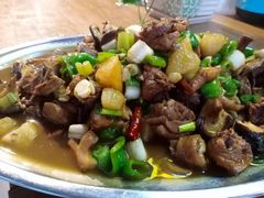 -俭寨大盘鸡·缸子肉·小公鸡·新疆菜(云通店)