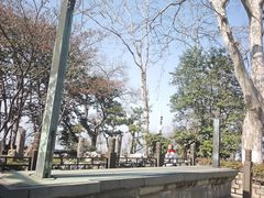 -紫金山天文台