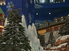 -长沙湘江欢乐雪域