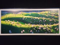 -罗红摄影艺术馆