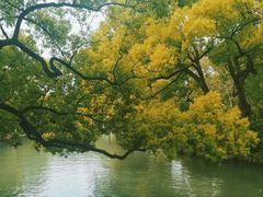 -西溪国家湿地公园