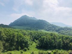 -白草畔自然风景区