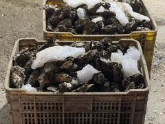 -蠔园山庄(礼乐食街店)