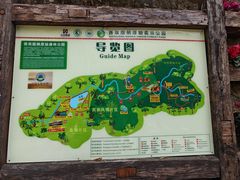 -西双版纳原始森林公园