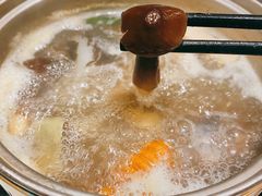 云南松茸-半岛翡丽海鲜自助餐厅(观风亭店)