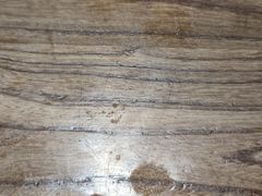 -隐樂門·活牛蛙火锅酒馆