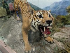 -国家自然博物馆