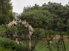 -团结湖公园