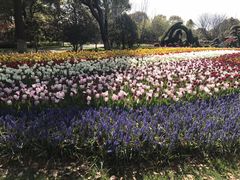 -上海鲜花港
