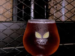 -蜜和麦精酿啤酒吧honey&malt(桐梓林店)
