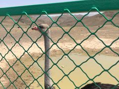 -新疆天山野生动物园