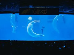 -海合安成都极地海洋公园