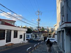-西归浦每天偶来市场