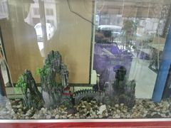 -尚岛私房菜(西方巷店)