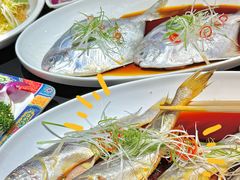 -京悦南门涮羊肉·羊蝎子火锅(田林路店)