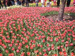 -长春公园(普阳街道)