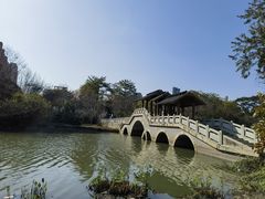 -金山公园