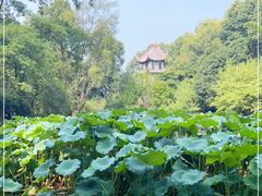 -成都杜甫草堂博物馆