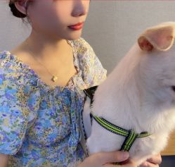 -广州美莱医疗美容医院