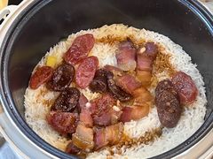 -一煲鸽