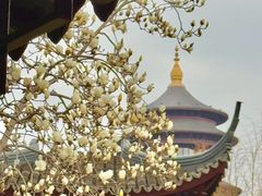 -圆通寺
