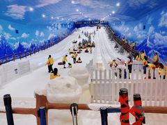 -世界之窗阿尔卑斯冰雪世界
