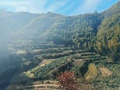 -黄山翡翠谷景区