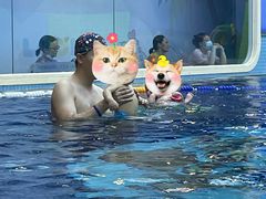 -龙格亲子游泳•水育早教运动中心
