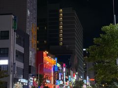 -宝健路步行街(Pedestrian Shopping Street)