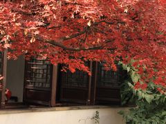 -艺圃