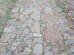 -午潮山国家森林公园