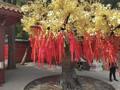 -青岩寺风景区