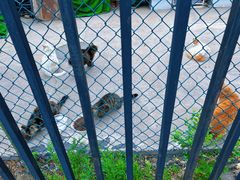 -里面·Noodlology(机电院店)