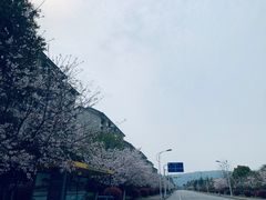 -江南大学(蠡湖校区)