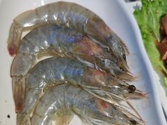-外婆掌柜·东北家庭烤肉(托乐嘉店)
