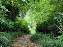 -田园东方蜜桃村的田野营地