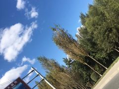 -哈尔滨大剧院