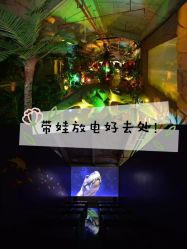 -恐龙探索乐园(磁器口店)