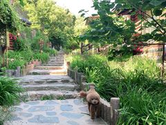 -北京水岸山吧度假村(雁栖镇店)
