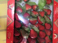 -盒马鲜生(红莲店)