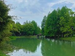-石湖景区