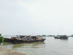 -大湾区中央湿地公园