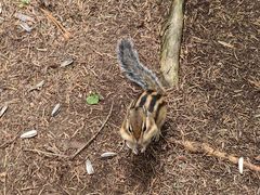 -长白山万达锦华套房酒店