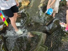 -成都市活水公园