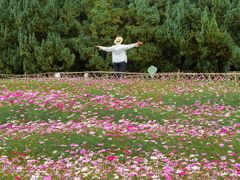 -东莞植物园
