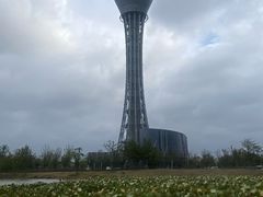 -大方圆酒楼(新颜东路店)