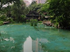 -静安公园(静安寺街道)