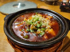 米凉粉烧牛肉-蜀宴小调·精致家常菜(科华店)